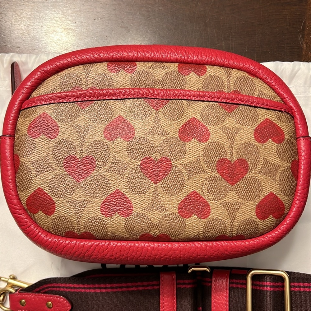 Coach Camera Bag In Signature Canvas With Heart P… - image 3